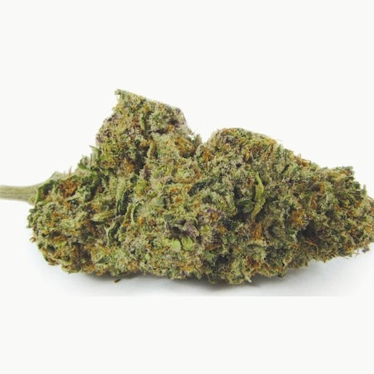 LA Native - Mendo Moonshine - Mixed Light - 1
