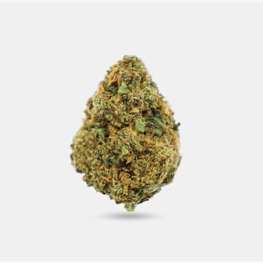 LA Native - Diamond Runtz - Mixed Light - 1