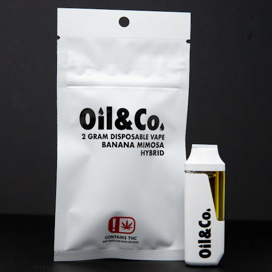 Oil & Co - 2g Key Lime Pie Disposable - Oil & Co (Hybrid) - 1
