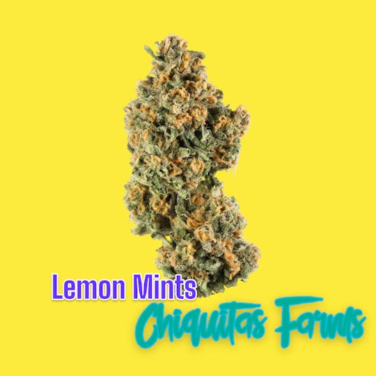 Chiquitas Farms - Lemon Mints - 1