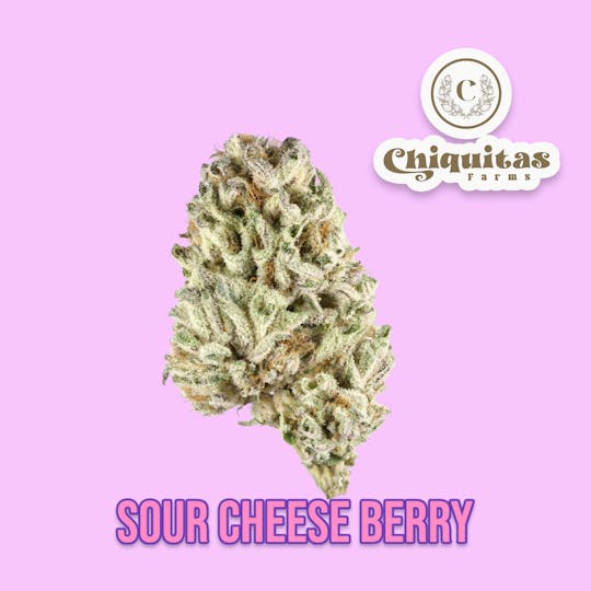 Chiquitas Farms - Sour Cheese Berry - 1