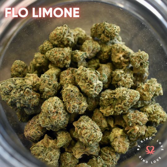 Kind Love Brand - Flo Limone - 1