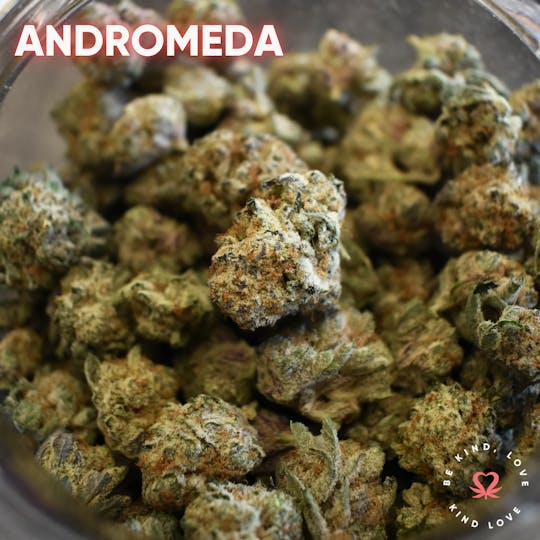 Kind Love Brand - Andromeda - 1