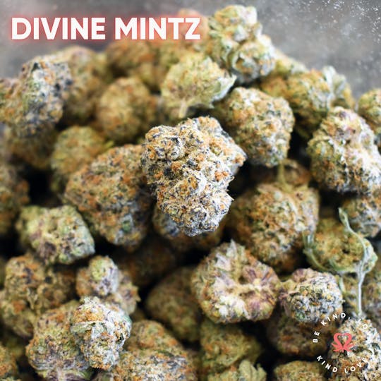 Kind Love Brand - Divine Mintz - 1