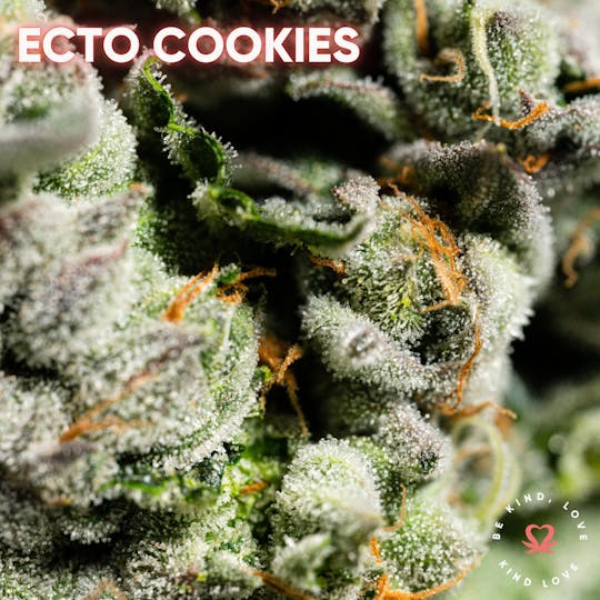 Kind Love Brand - Ecto Cookies - 1