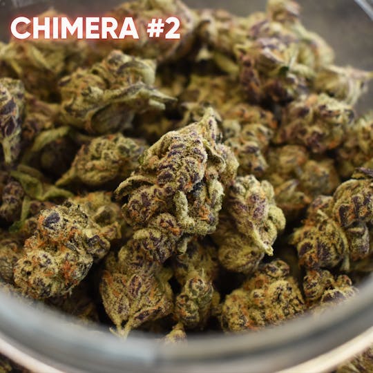 Kind Love Brand - Chimera #2 - 1