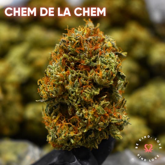 Kind Love Brand - Chem De La Chem - 1