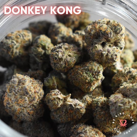 Kind Love Brand - Donkey Kong - 1