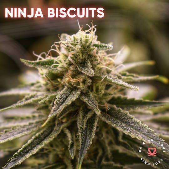 Kind Love Brand - Ninja Biscuits - 1