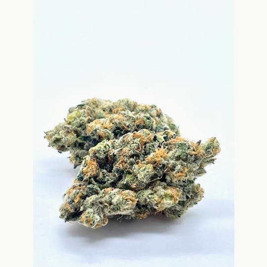 Zero Gravity Cannabis - Flower - Hazelnut Cream 70/30 Sativa Dominant - 1