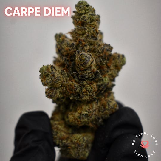 Kind Love Brand - Carpe Diem - 1
