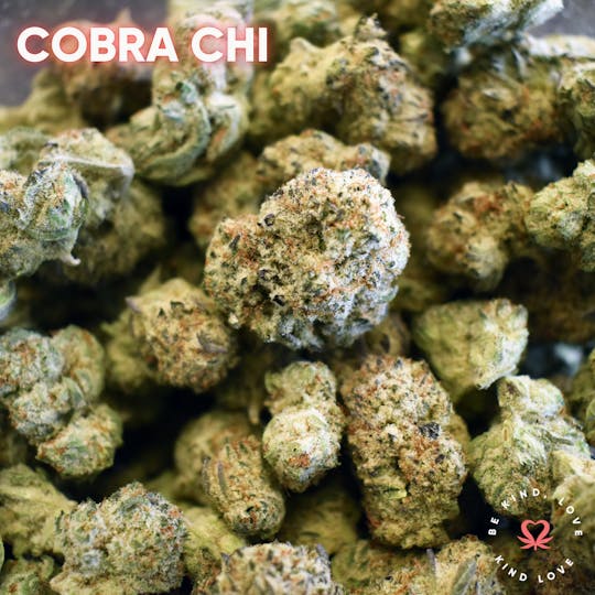 Kind Love Brand - Cobra Chi - 1