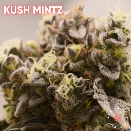 Kind Love Brand - Kush Mintz - 1