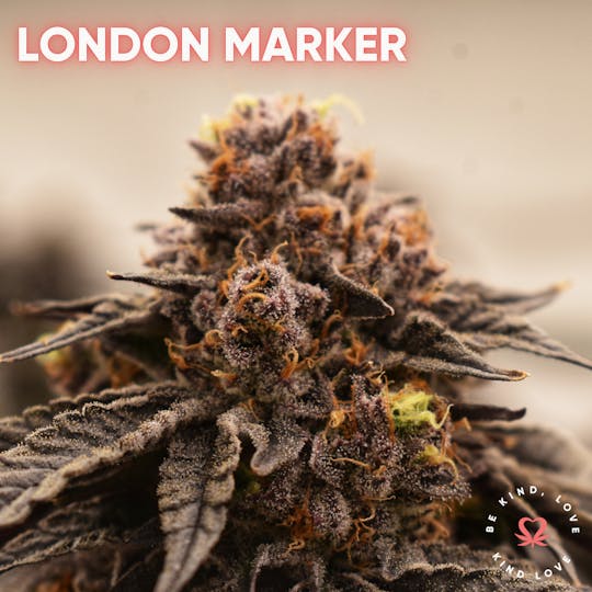 Kind Love Brand - London Marker - 1