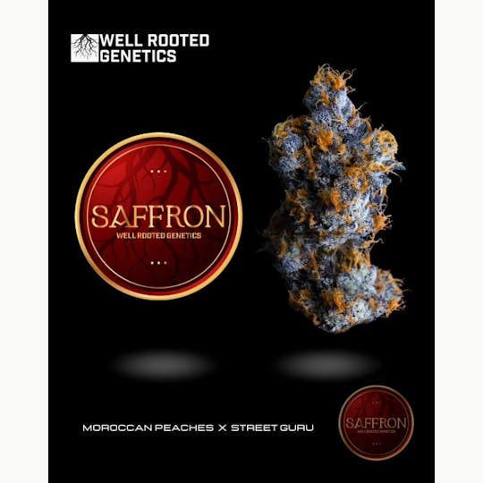 Well Rooted Genetics - Saffron - 1