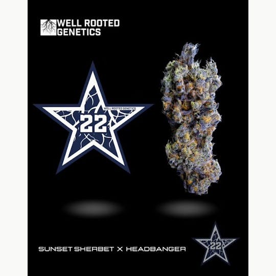 Well Rooted Genetics - #22 - 1