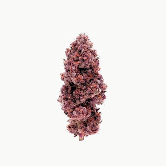 LegaSea Farms - Trop Cherry 3.5g - 1