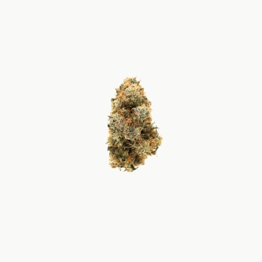 LegaSea Farms - Egg Roll Flower - 1