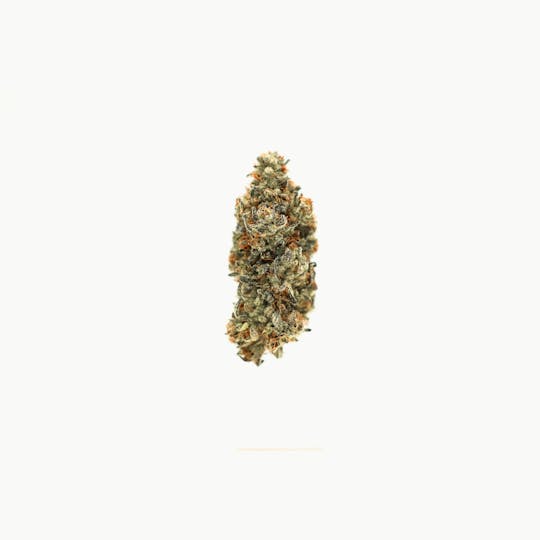 LegaSea Farms - Dante's Inferno Flower - 1