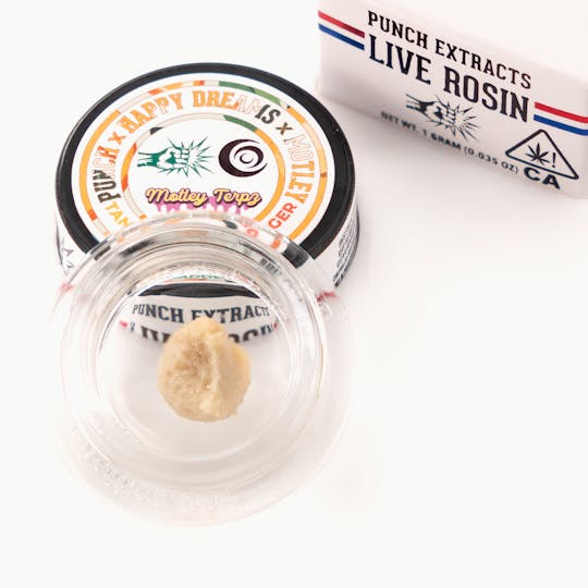 Punch Edibles & Extracts - Tangie Cookie Burger Tier 4 Live Rosin Cold Cure Badder (1g) - 1