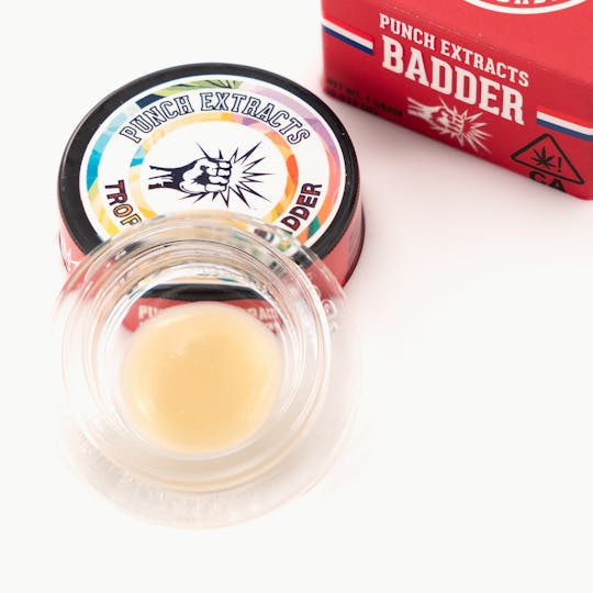 Punch Edibles & Extracts - Tropical Gas BHO Badder (1g) - 1