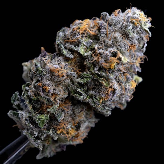 Animal - Permanent Marker - Indica - 30% THC - 1