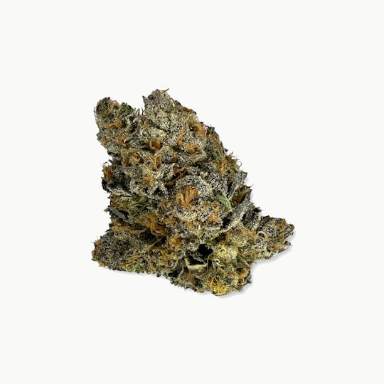 Indico - Purple Tahoe - Indico - 1
