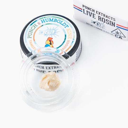 Punch Edibles & Extracts - Tangerine Squeeze Tier 2 Live Rosin Cold Cure Badder (1g) - 1