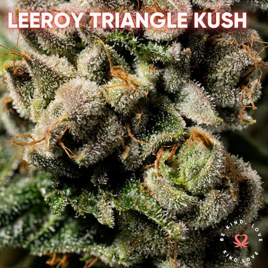 Kind Love Brand - LeeRoy Triangle Kush - 1