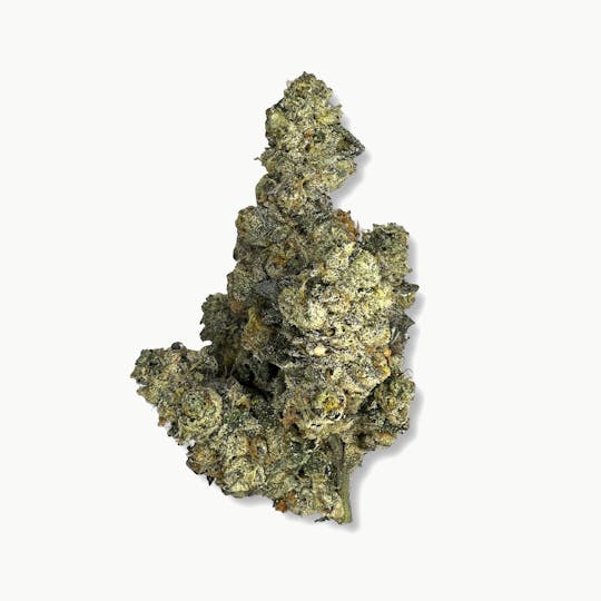 Indico - Banana x Gelato 41 - Indico - 1
