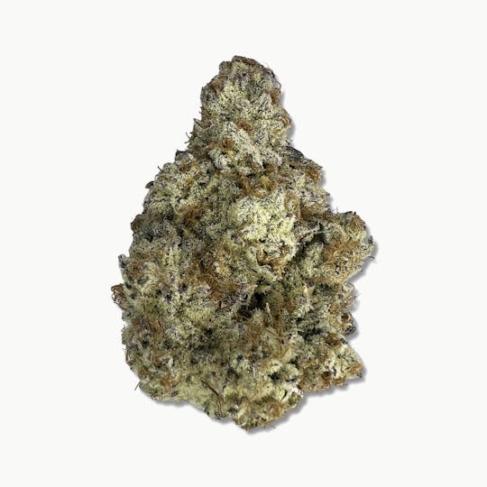 Indico - Grape Fun Dip - Indico - 1