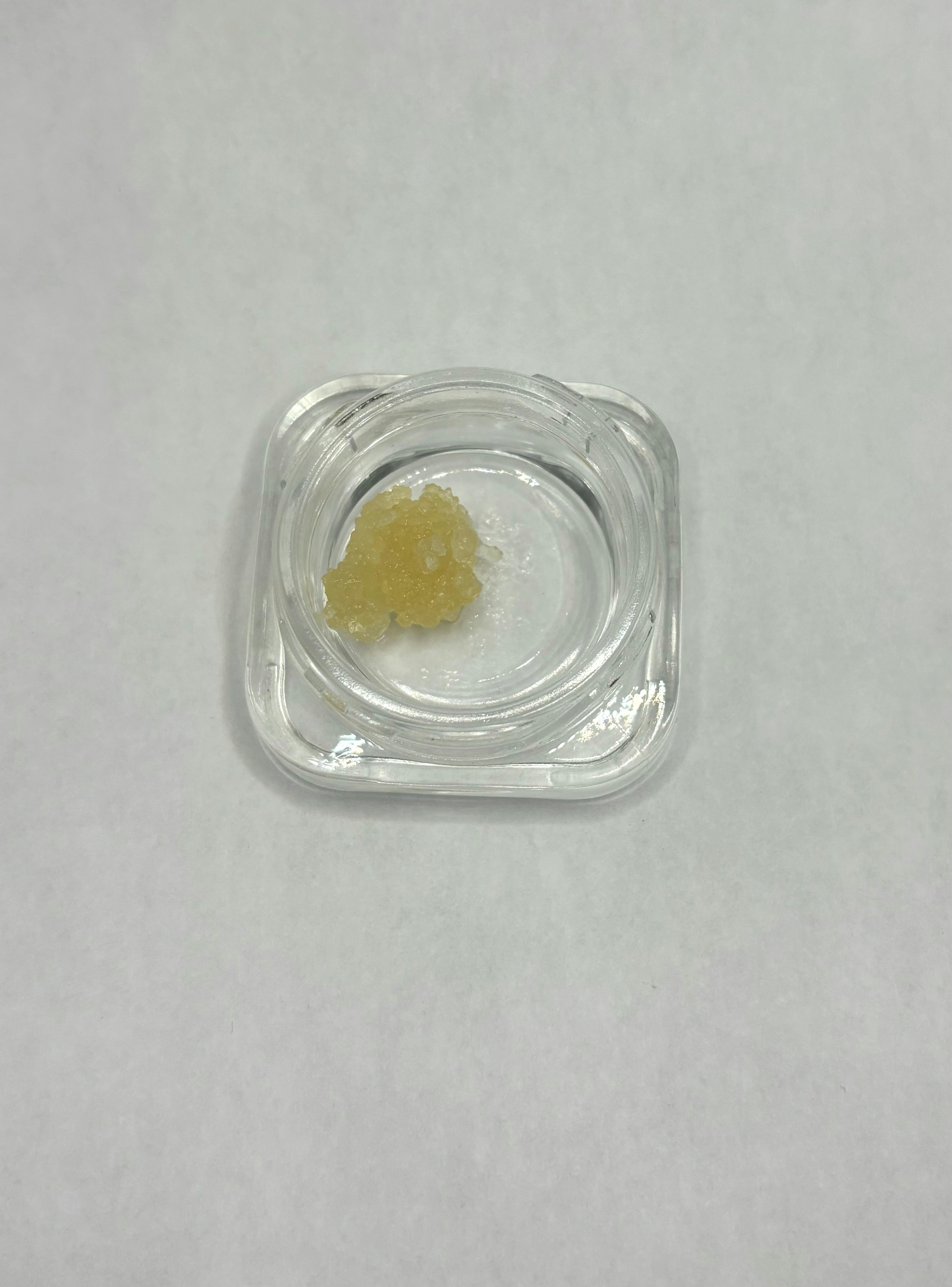 Dynastree - Live Blockberry - 1