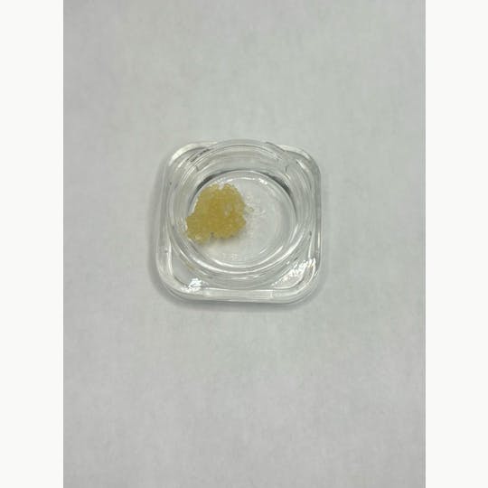 Dynastree - Live Blockberry - 1