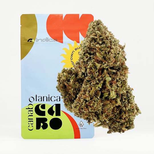 Canabotanica - Ghost Vapor OG - 14g - Sungrown Flower - 1