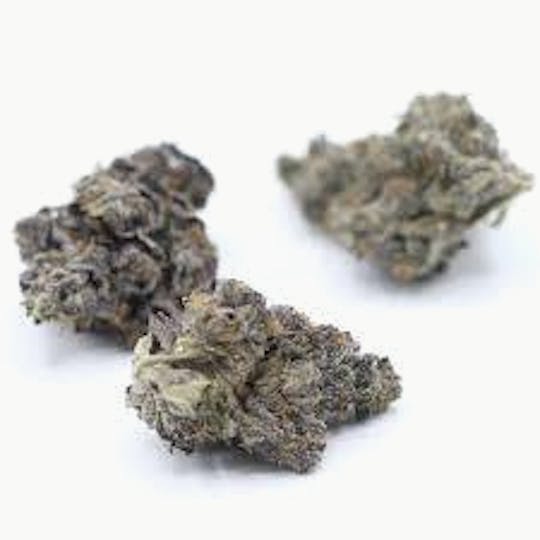 Original Intelligence - Bolo Runtz (Runtz X LCG X Gelato 33) - 3.5g Baby Nugs - 1