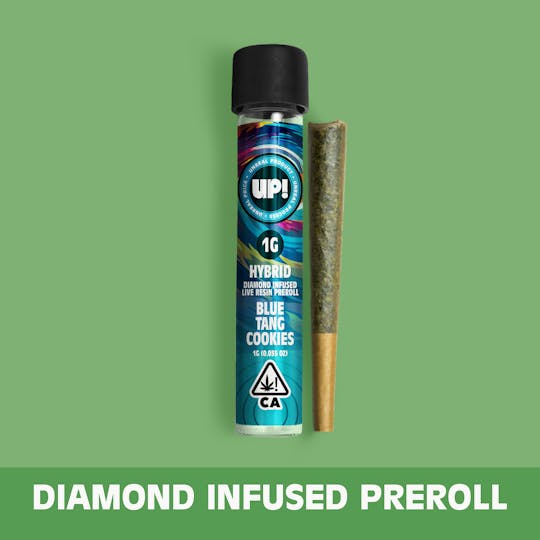 UP! - Blue Tang Cookies (Hybrid) Diamond Infused Preroll (1g) - 1