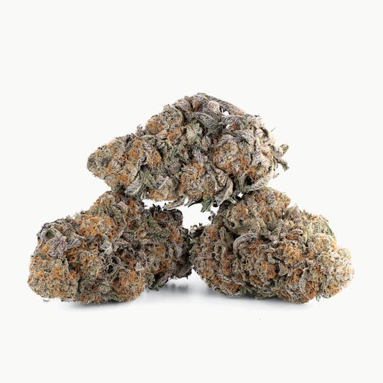 LA Native - Purple Punch - Mixed Light - 1