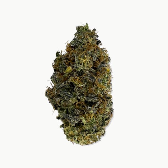 Indico - Atomic Tangerine - Unicorn Tears - 1