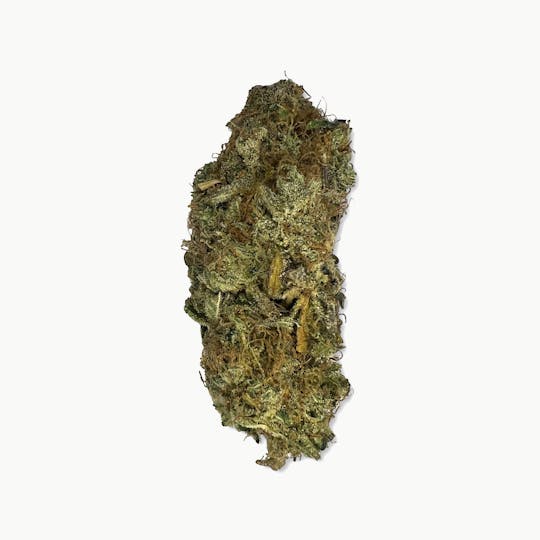 Indico - Tangie - Stella's Farms - 1