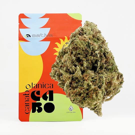 Canabotanica - Blue Dream x Key Lime Pie - 14g - Sungrown Flower - 1