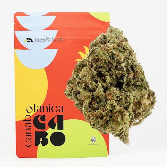 Canabotanica - Blue Dream x Key Lime Pie - 28g - Sungrown Flower - 1