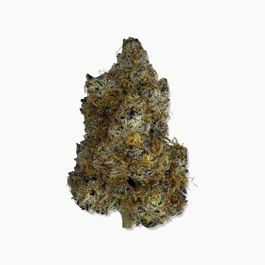 Indico - Mendo Cookie Breath - FLUID - 1