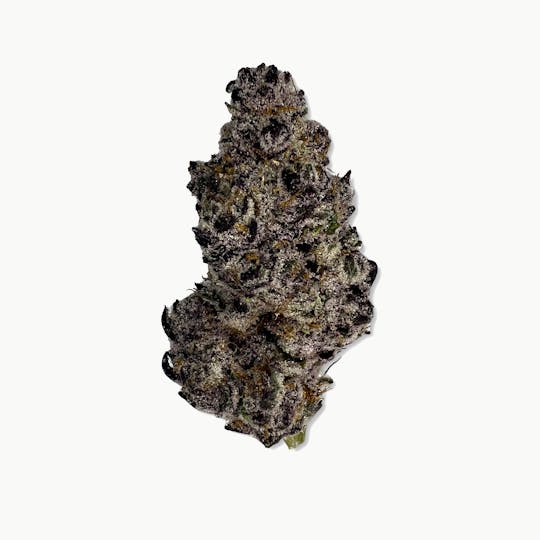 Indico - Candy Loops - FLUID - 1