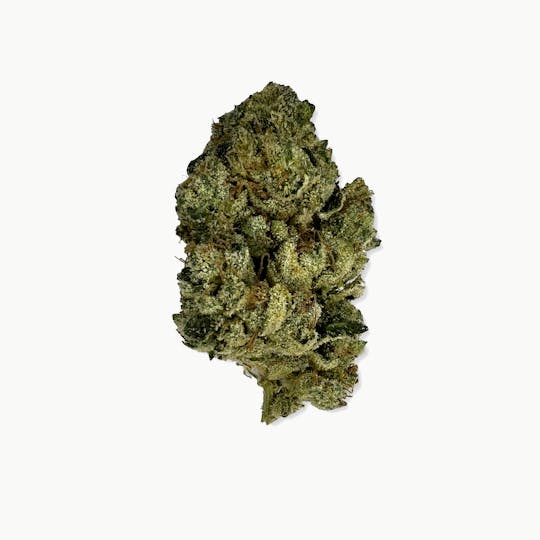 Indico - Grease Monkey - Stella's Farm - 1