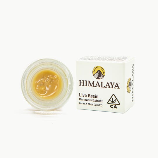 HIMALAYA - Hella Jelly (Live Resin Concentrate) - 1G - 1