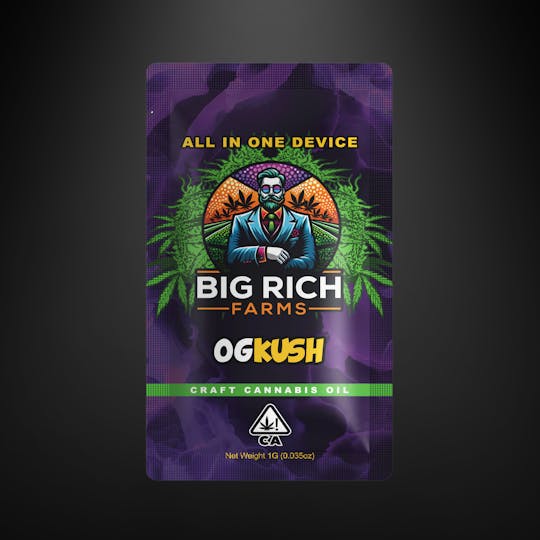 Terp Brands - Big Rich | OG Kush | AIO | 1g - 1
