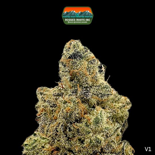 Rugged Roots - Rugged Roots - Vitamin Diesel Flower 3.5g - 1