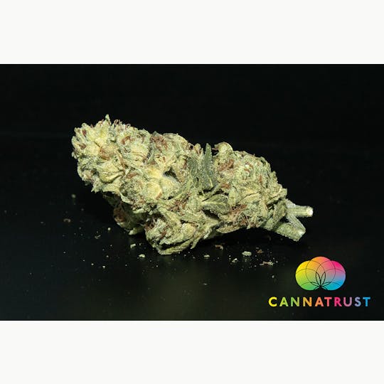 Trusty Transportations - Lemon Cherry Gelato 1 Gram(27%THC, Hybrid) - 1