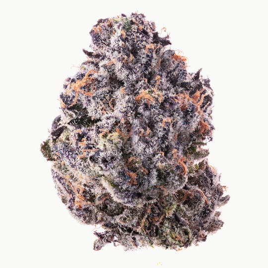 Za - blue sherb ZA rule Flower 7g - 1