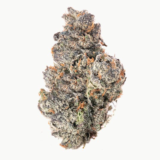 Za - rainbow runtz ZAra croft Flower 7g - 1
